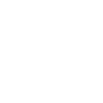 Wulong Tea